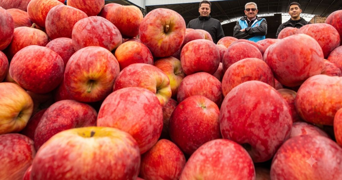 De una chacra de cinco hectáreas a 4 millones de kilos de fruta anuales
