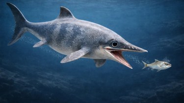 Ictiosaurios: cómo eran los reptiles marinos hallados tras el deshielo de un glaciar en la Patagonia