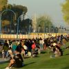 Imagen de Espectáculos, desfile, sorteos y más: la agenda completa por el 147° aniversario de Roca, ¿hay asueto?