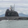 Imagen de Vladimir Putin visitó las disputadas islas Kuriles y Japón emitió una protesta: "Es absolutamente inaceptable"