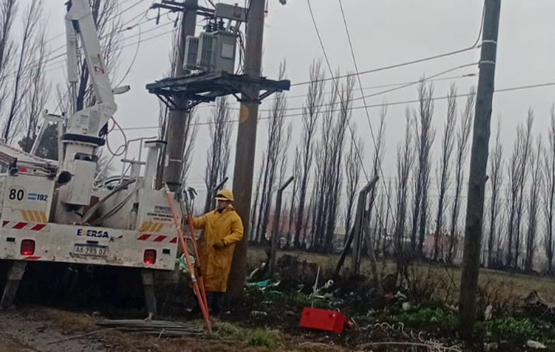 Cipolletti sufre corte de luz por tala de árboles en Ruta 151