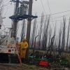 Imagen de Una tala imprudente de arboles dejó sin luz a varios sectores de Cipolletti: qué dijo Edersa