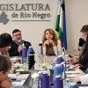 Imagen de En Río Negro las comisiones legislativas avalaron cinco proyectos presentados por el Poder Ejecutivo