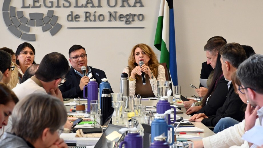 Tania Lastra explicó los alcances del pase a planta en la Legislatura. Foto: Marcelo Ochoa.