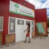Imagen de Día del Árbol en Roca: intercambio de semillas, talleres y plantación en la Biblioteca Epullán