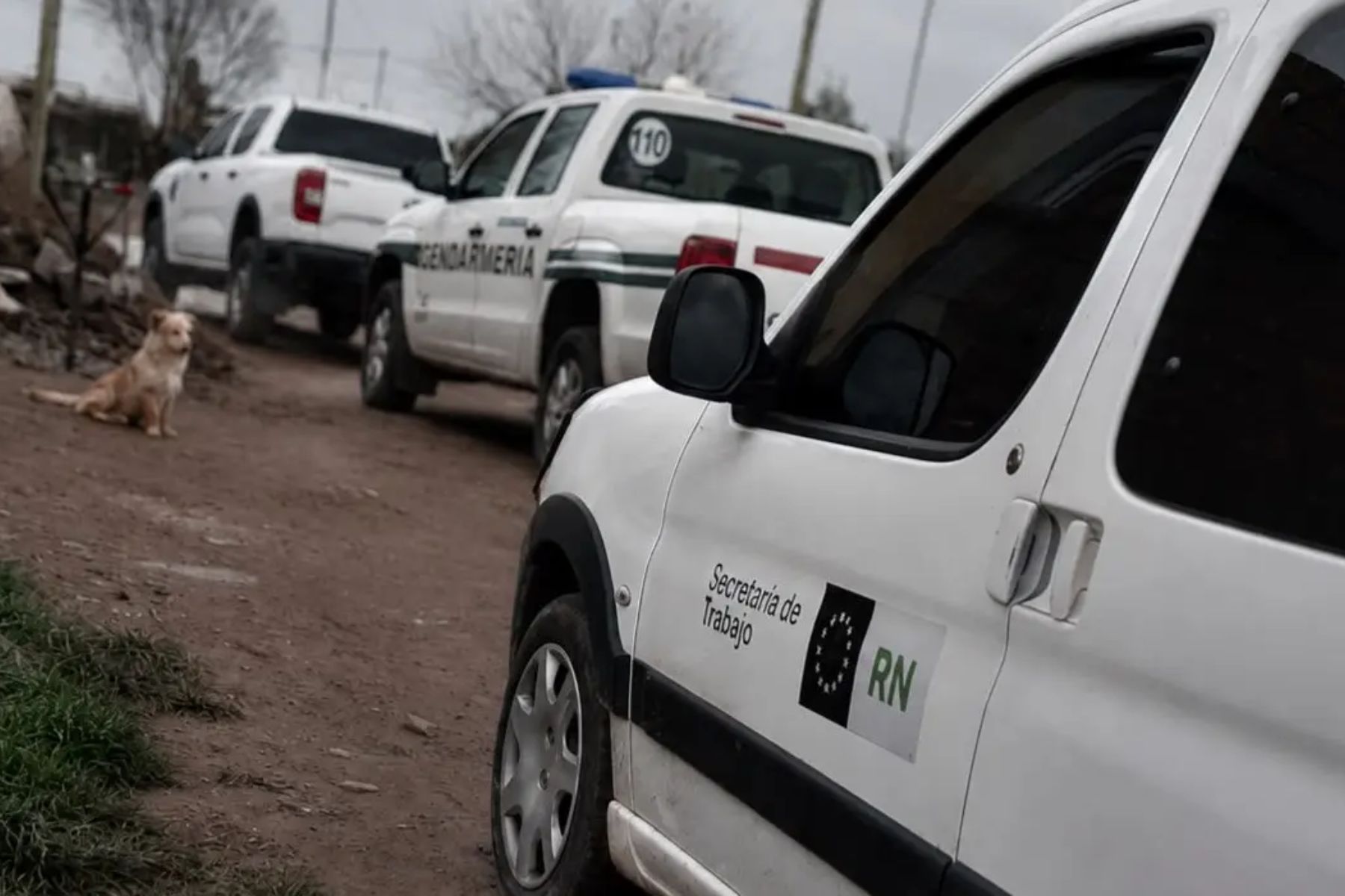 Desarticulan posible trata laboral en Viedma tras operativo policial