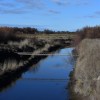 Imagen de Río Negro reglamentó las Comunidades de Usuarios: qué cambia para los productores que comparten el agua