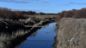 Río Negro reglamentó las Comunidades de Usuarios de riego: qué cambia para los productores que comparten el agua