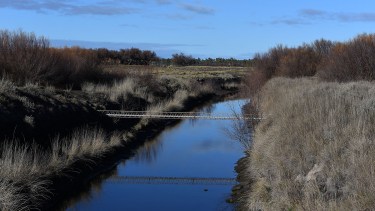 Río Negro reglamentó las Comunidades de Usuarios de riego: qué cambia para los productores que comparten el agua