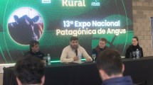 Imagen de Viedma será sede de la Nacional Patagónica Angus en una Expo Rural histórica por sus 30 años