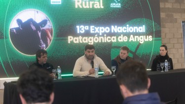 Viedma será sede de la Nacional Patagónica Angus en una Expo Rural histórica por sus 30 años