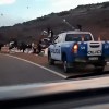 Imagen de Volcó un camión en la Ruta 237 y vecinos se llevaron gran parte de la carga