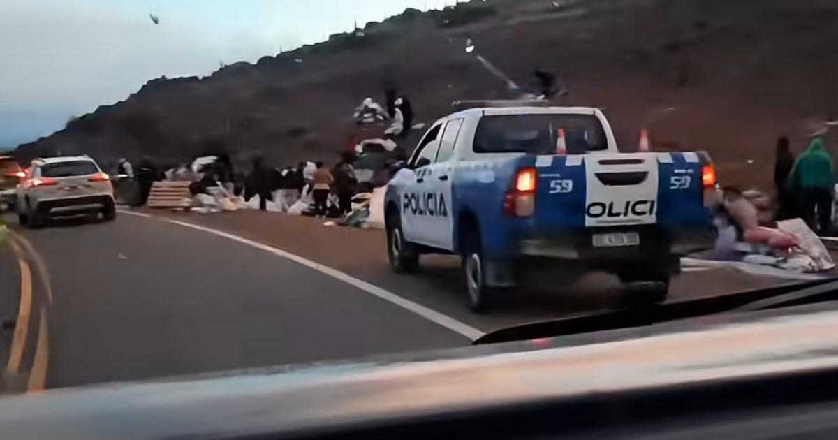Accidente en Ruta 237: volcó un camión y vecinos se llevaron la carga