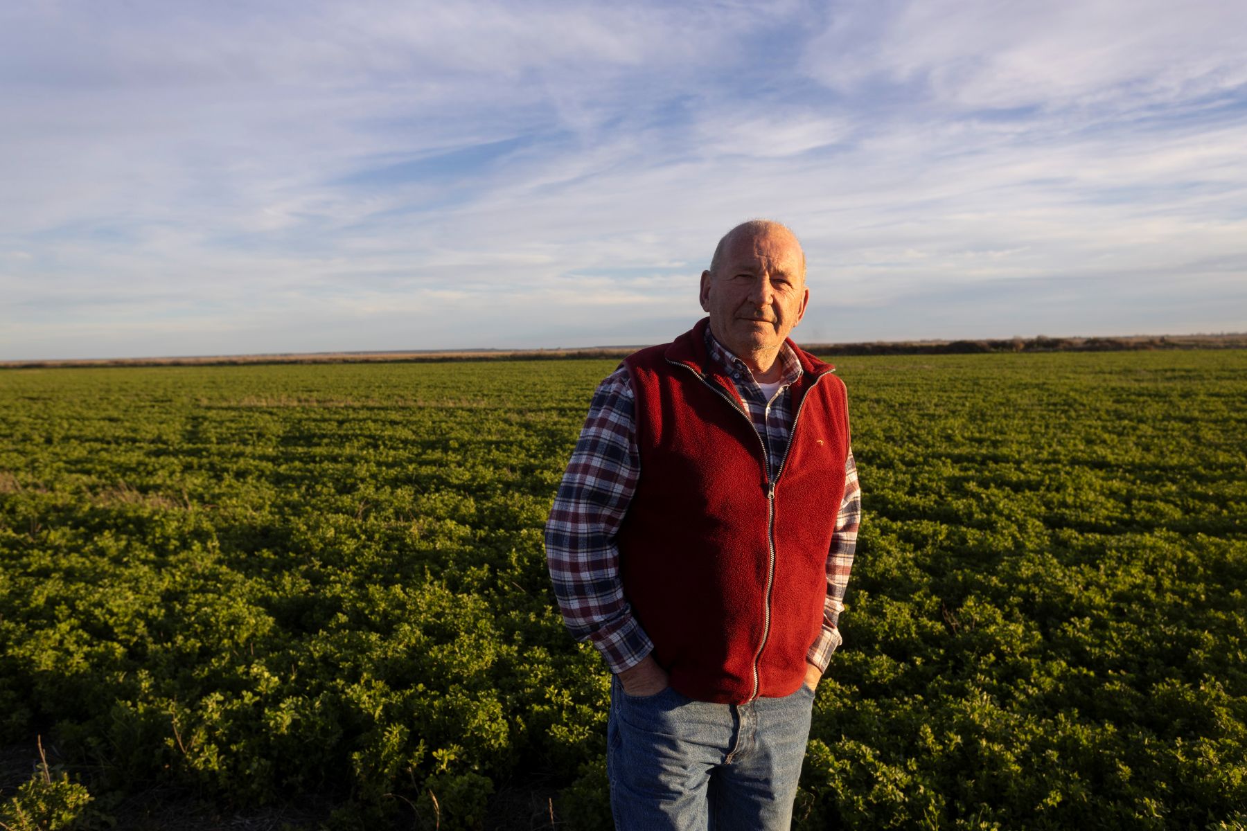 Un comerciante transformó un campo abandonado en un modelo productivo en Patagonia