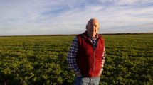 Imagen de Era comerciante, compró un campo abandonado y 30 años después produce carne y cultivos en la Patagonia
