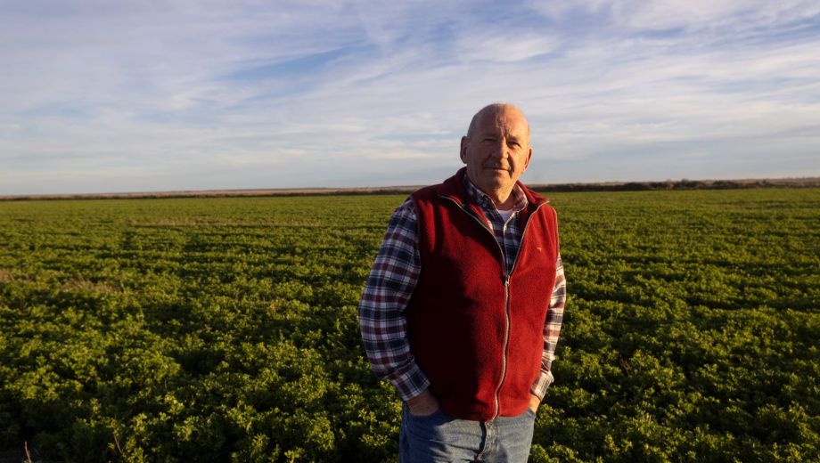 Luis Zágari recorre el campo donde desarrolla parte del ciclo productivo y combina ganadería con agricultura. Foto: Pablo Leguizamon.