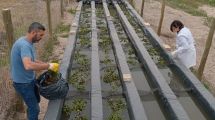 Imagen de Convertir el lodo cloacal en biogás y abono: el proyecto científico que estudian en San Martín de los Andes