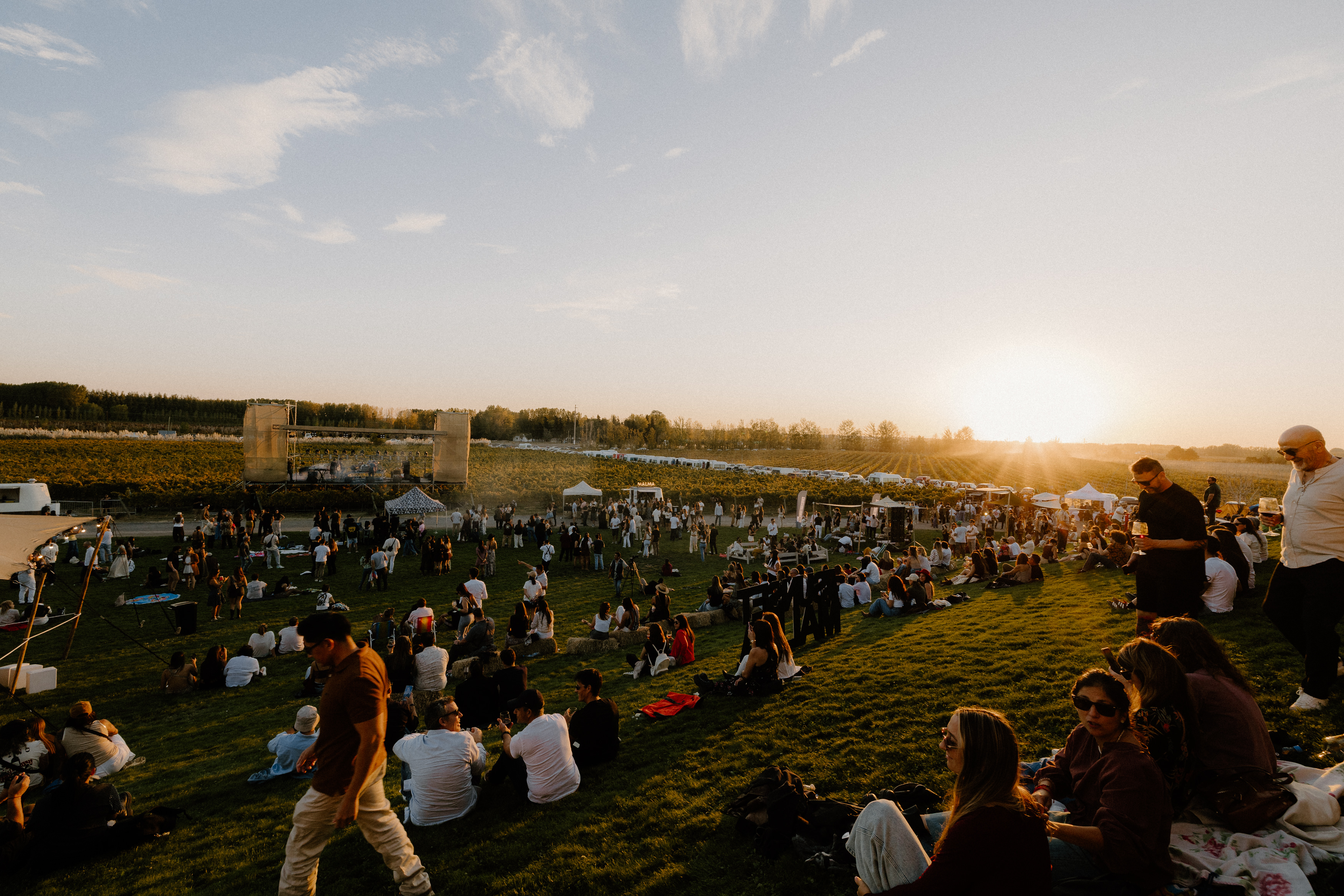 Patagonia Wine Fest 2026: Los Pericos y Los Tipitos llegan a San Patricio del Chañar