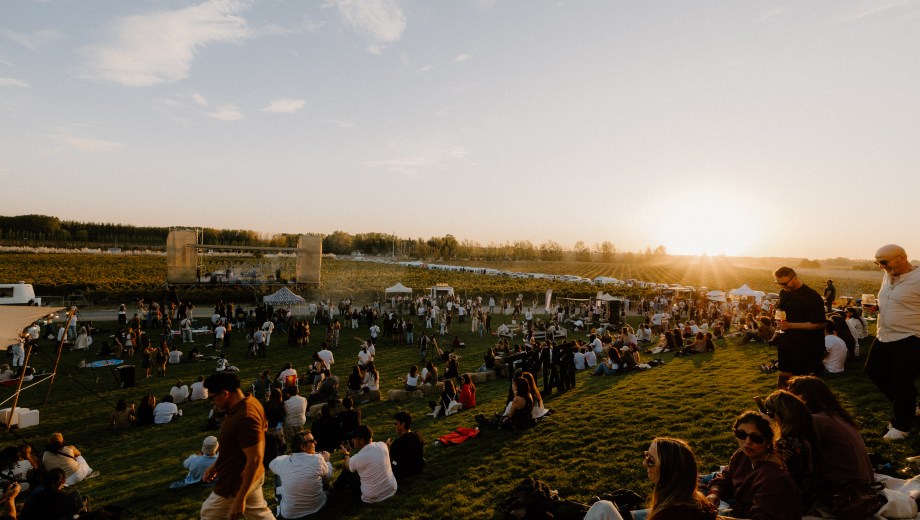 Patagonia Wine Fest volverá a reunir vino, gastronomía y música en Bodega Malma. Foto | Gentileza.-