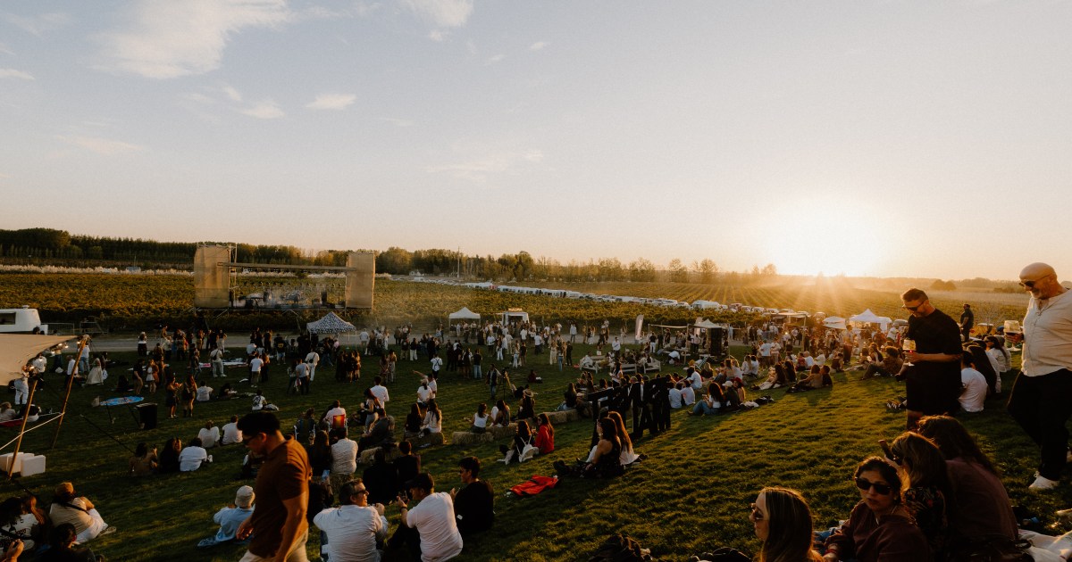Patagonia Wine Fest 2026 contará con Los Pericos y Los Tipitos en San Patricio del Chañar