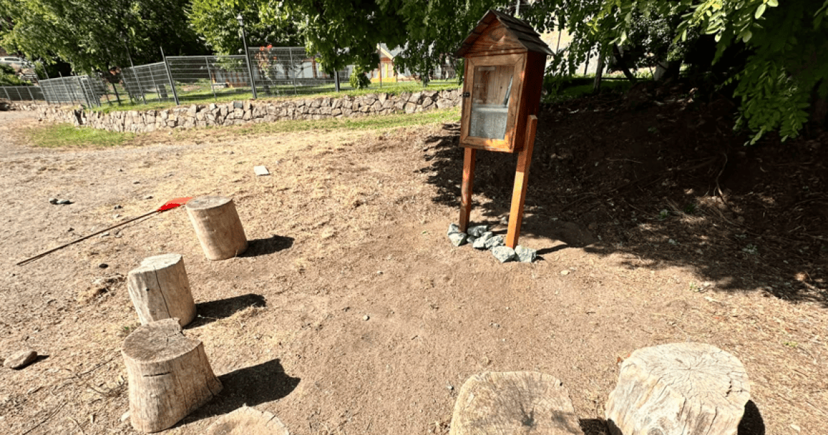 Una biblioteca única sorprende a paseantes en el lago Nahuel Huapi