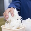 Imagen de SILANA: una herramienta del INTA para el productor lanero