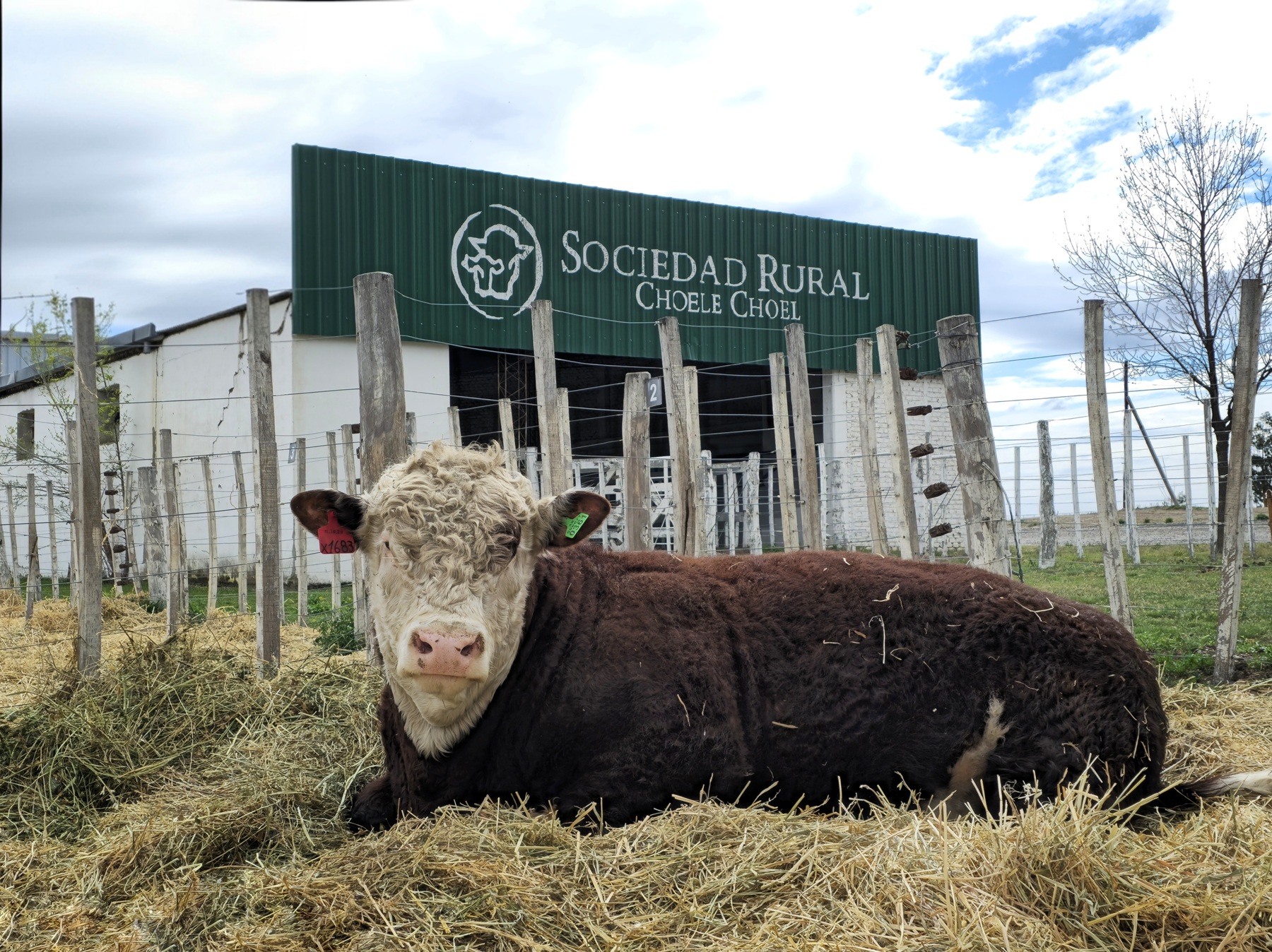 Inauguró la 46° Expo Rural de Choele Choel con énfasis en producción y educación
