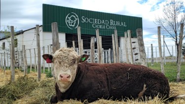 46° Expo Rural de Choele Choel, donde se juntan la producción, el conocimiento y una nueva generación para el campo