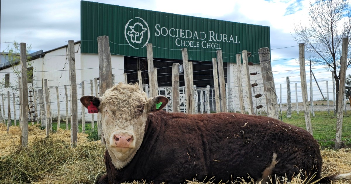 Inauguró la 46° Expo Rural de Choele Choel con énfasis en producción y educación