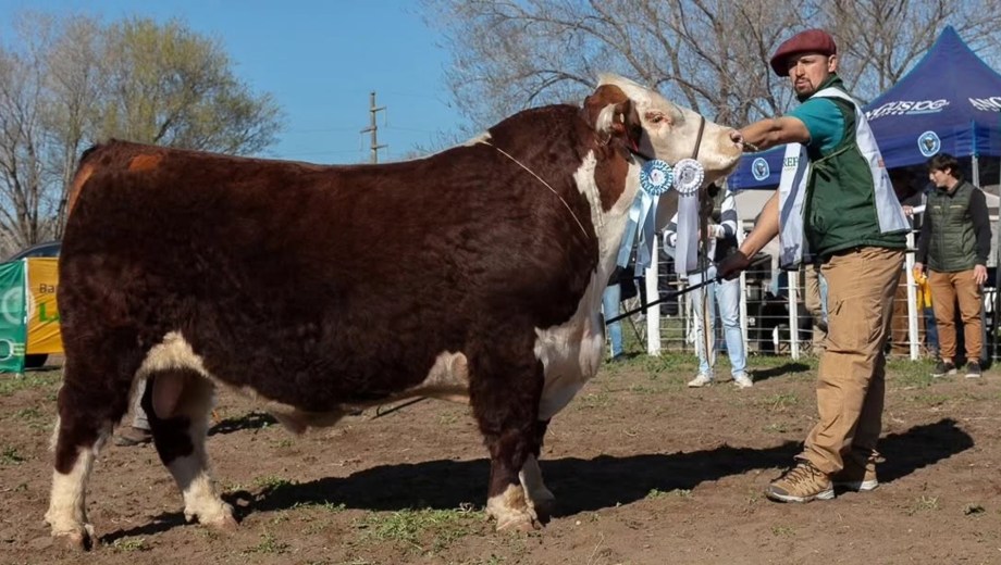 Río Colorado abre el calendario de exposiciones rurales en Río Negro.