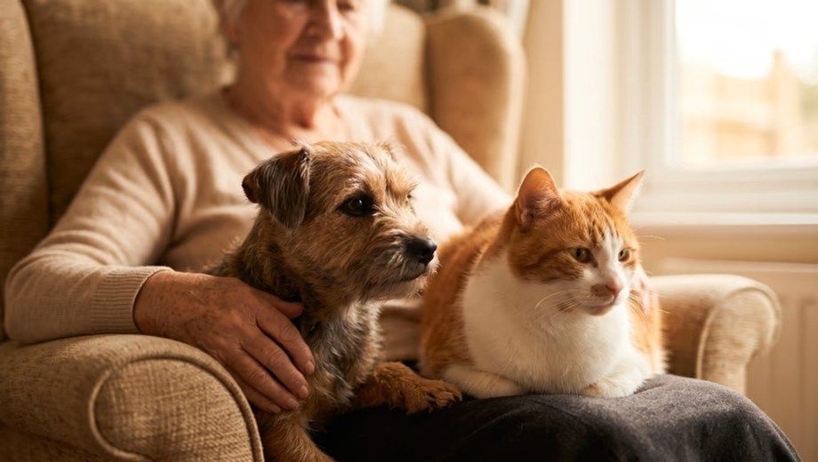 “Entendemos que las familias son multiespecie; separar a un adulto mayor de su mascota es separarlo de su familia”, sostuvieron los impulsores. Foto: Gentileza. 