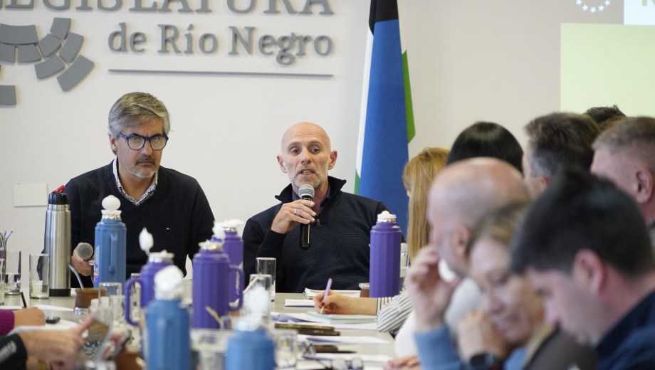 En la Legislatura el ministro Alejandro Echarren explicó los tramos afectados. Foto: gentileza.