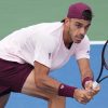 Imagen de Salen a la cancha Cerúndolo, Trungelliti y Podoroska: la programación de los argentinos en el US Open