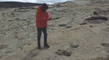 Imagen de Huellas de dinosaurios en Neuquén: identifican rastros de gigantes en un antiguo desierto