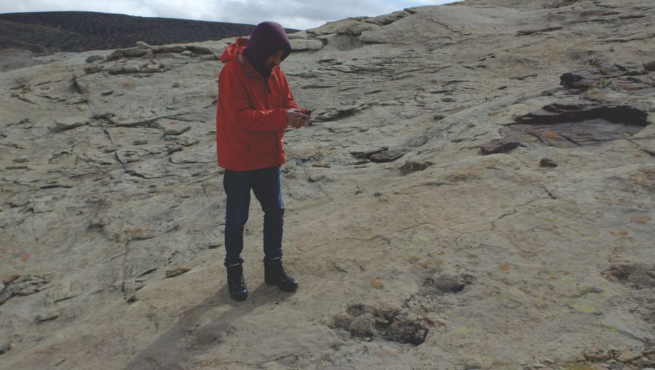 Científicos hallaron huellas de dinosaurios en antiguas rocas de arena en el noroeste
de Neuquén. Como en esa zona no hay fósiles de huesos, esas pisadas son la única
prueba de que los dinosaurios vivieron allí (Crédito Arturo Heredia)