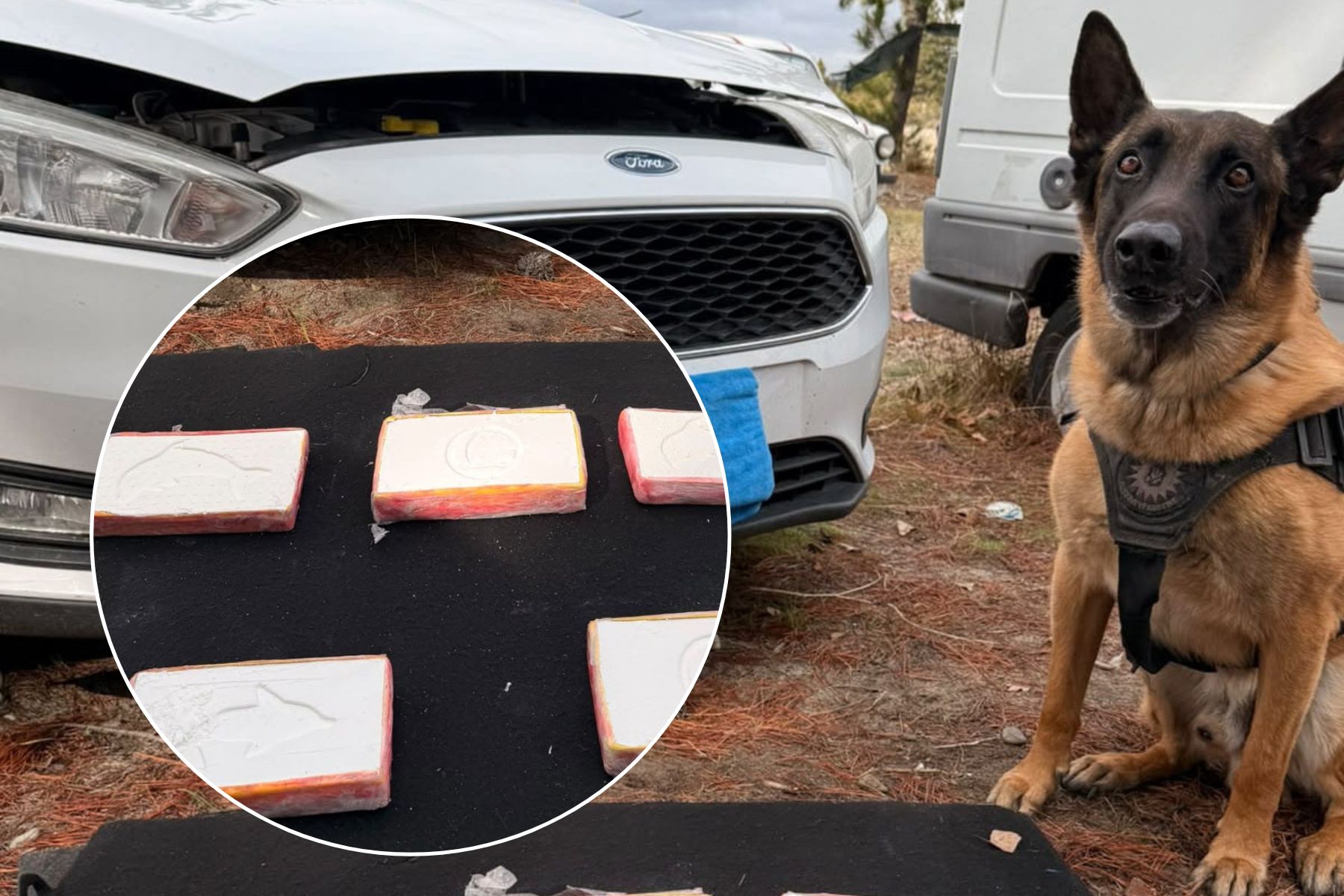 La policía de Río Negro incautó 5 kilos de cocaína en un auto vinculado a narcotráfico