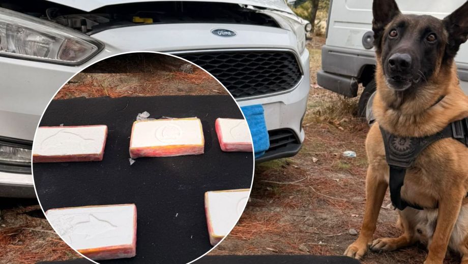 La policía de Río Negro y el perro detector “Máximo” dieron con la sustancia dentro del vehículo (Foto: Policía de Río Negro)