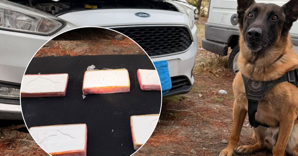 La policía de Río Negro incautó 5 kilos de cocaína en un auto vinculado a narcotráfico