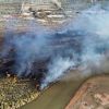 Imagen de Feroz incendio en Rincón de los Sauces: tras horas de trabajo contra el viento, bomberos lograron controlarlo
