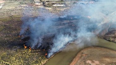 Feroz incendio en Rincón de los Sauces: tras horas de trabajo contra el viento, bomberos lograron controlarlo