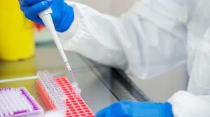Científicas prueban cómo el ARN bacteriano puede ayudar a combatir tumores