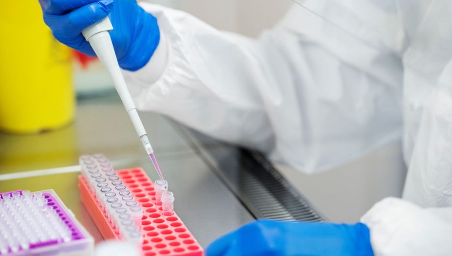 El ARN bacteriano reduce el camuflaje del cáncer para que el cuerpo lo ataque.