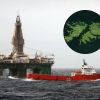 Imagen de Operadoras en Malvinas: Reino Unido extendió por cinco años las licencias a petroleras en las Islas