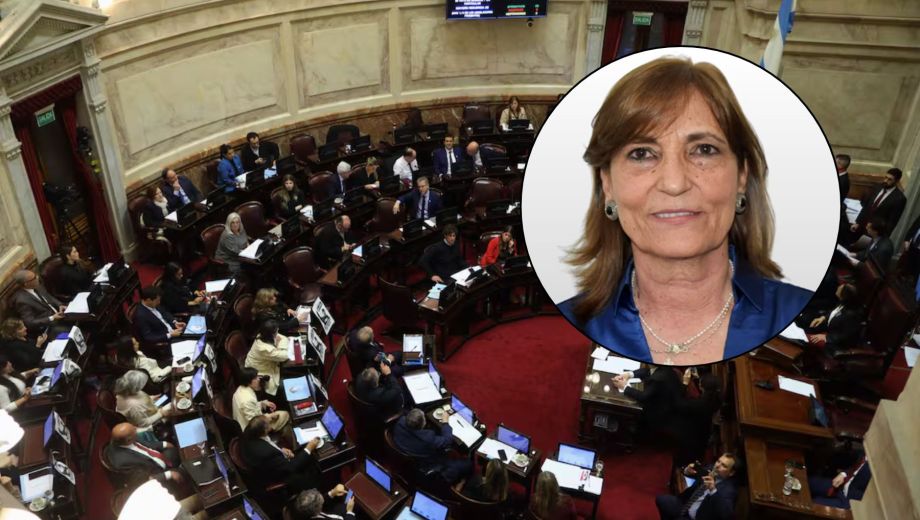 Claudia Cecilia López ocupará la banca de Juan Carlos Pagotto en el Senado de la Nación (Foto: archivo)