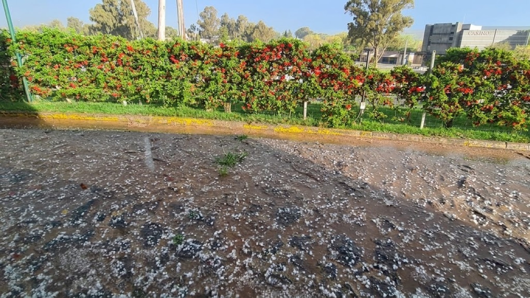 Así golpeó la lluvia y el granizo al corazón de Vaca Muerta este miércoles