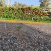 Imagen de Así golpeó la lluvia y el granizo al corazón de Vaca Muerta este miércoles