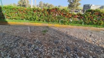 Imagen de Así golpeó la lluvia y el granizo al corazón de Vaca Muerta este miércoles