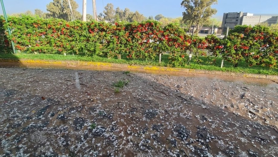 El granizo sorprendió a los vecinos de Añelo (Foto: Andrea Vazquez)