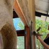 Imagen de María, la arquitecta que construyó su casa de barro en un campo de Entre Ríos