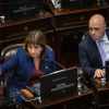 Imagen de En vivo | El Senado aprobó en general la Inocencia Fiscal II